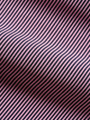 Lyndon Polo
